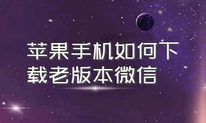 苹果手机如何下载老版本微信（苹果手机如何下载微信分身软件）