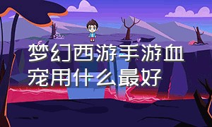 梦幻西游手游血宠用什么最好（梦幻西游手游血宠坐骑技能怎么选）