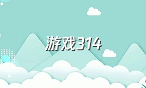 游戏314