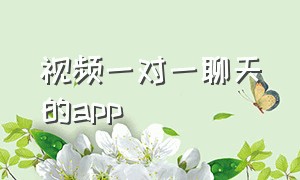 视频一对一聊天的app（可以一对一视频聊天的app）