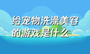 给宠物洗澡美容的游戏是什么