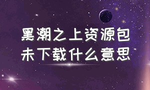 黑潮之上资源包未下载什么意思