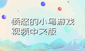 愤怒的小鸟游戏视频中文版