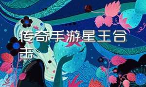 传奇手游星王合击（传奇手游合击）