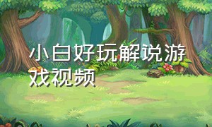 小白好玩解说游戏视频