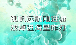 孤帆远航刚进游戏掉进海里咋办（孤帆远航游戏画面黑怎么办）