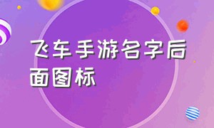 飞车手游名字后面图标