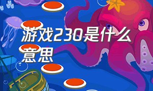 游戏230是什么意思