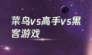 菜鸟vs高手vs黑客游戏