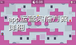 app运营实施方案详细