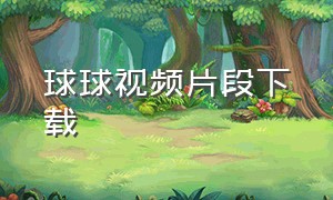 球球视频片段下载