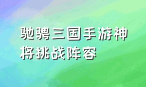 驰骋三国手游神将挑战阵容（驰骋三国手游神将挑战阵容攻略）