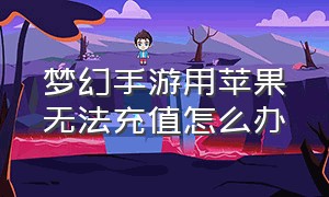 梦幻手游用苹果无法充值怎么办