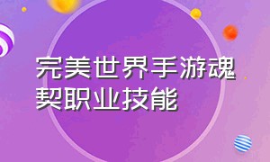 完美世界手游魂契职业技能