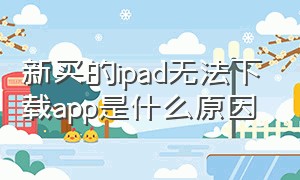 新买的ipad无法下载app是什么原因