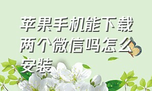 苹果手机能下载两个微信吗怎么安装