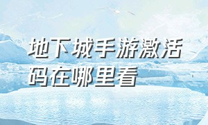 地下城手游激活码在哪里看