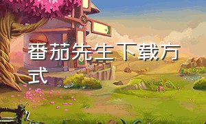 番茄先生下载方式（番茄先生的下载入口）