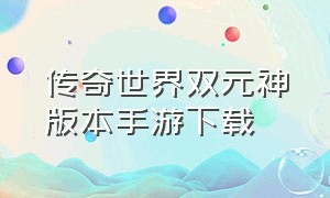 传奇世界双元神版本手游下载（传奇世界无元神怀旧版手游下载）