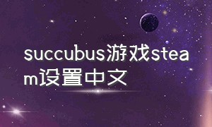 succubus游戏steam设置中文
