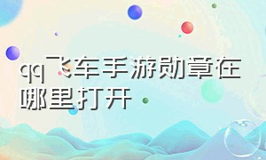 qq飞车手游勋章在哪里打开