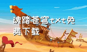 魂踏苍穹txt免费下载（苍穹踏天txt）