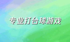 专业打台球游戏