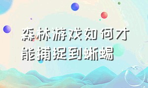 森林游戏如何才能捕捉到蜥蜴