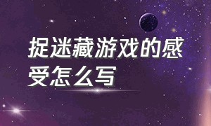 捉迷藏游戏的感受怎么写