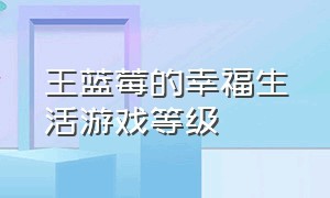 王蓝莓的幸福生活游戏等级