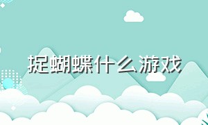 捉蝴蝶什么游戏