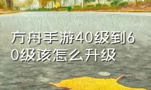 方舟手游40级到60级该怎么升级