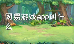 网易游戏app叫什么（网易游戏APP叫什么）