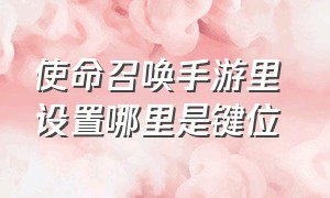 使命召唤手游里 设置哪里是键位