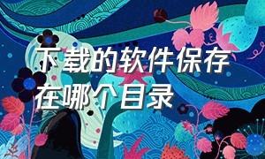 下载的软件保存在哪个目录