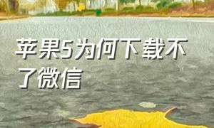 苹果5为何下载不了微信