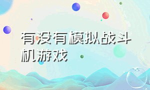 有没有模拟战斗机游戏（有没有一款模拟开战斗机的游戏）