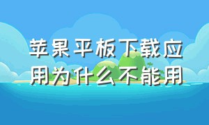 苹果平板下载应用为什么不能用（苹果平板下载软件成功但是不见了）