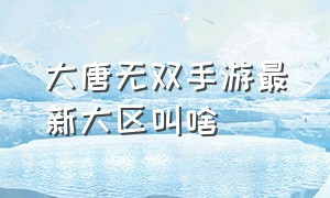 大唐无双手游最新大区叫啥