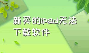 新买的ipad无法下载软件