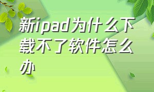 新ipad为什么下载不了软件怎么办