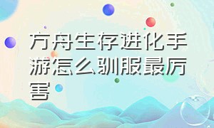 方舟生存进化手游怎么驯服最厉害