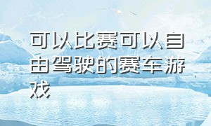 可以比赛可以自由驾驶的赛车游戏