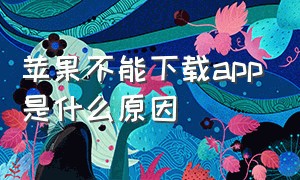 苹果不能下载app是什么原因（为啥苹果手机无法下载app）