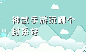 神武手游玩哪个封系好