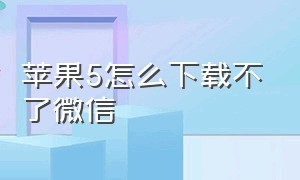 苹果5怎么下载不了微信（苹果5下载不了微信怎么解决）