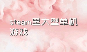 steam里大型单机游戏（STEAM上好玩的单机游戏）