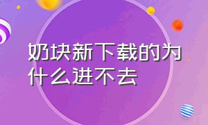 奶块新下载的为什么进不去