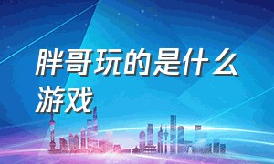 胖哥玩的是什么游戏