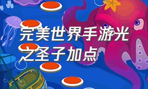 完美世界手游光之圣子加点（完美世界手游法师拿圣子怎么加点）